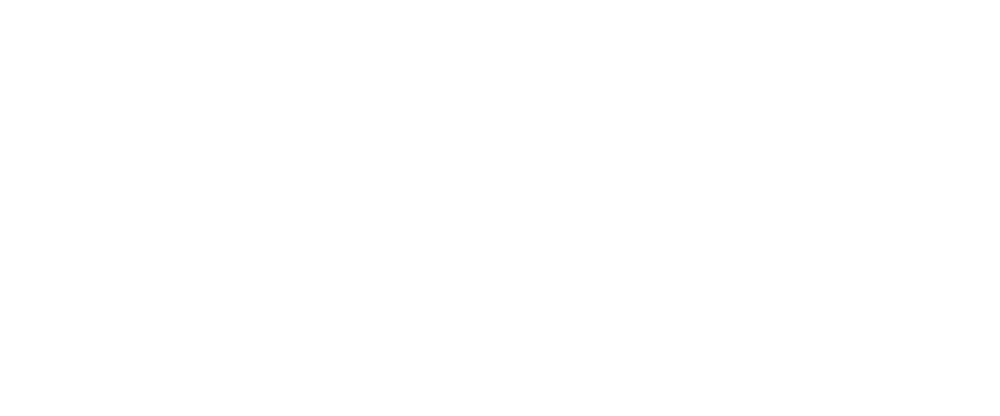 SoftBank HAWKS REVIVAL -2024優勝の奇跡-