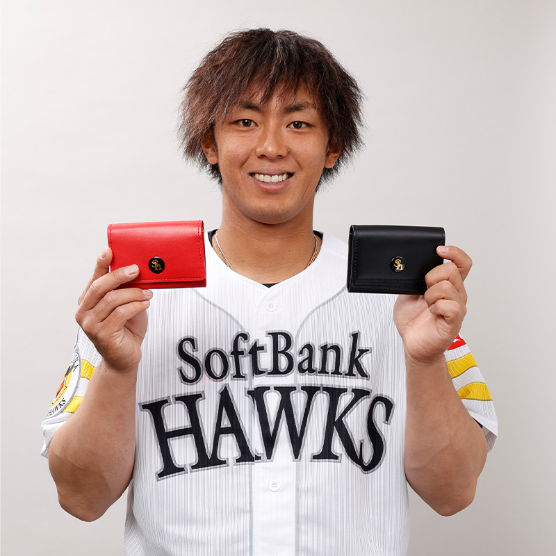 肥後象がん1