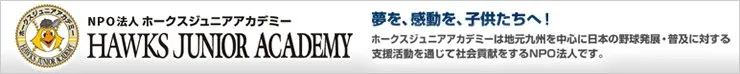 NPO法人ホークスジュニアアカデミー のイメージ