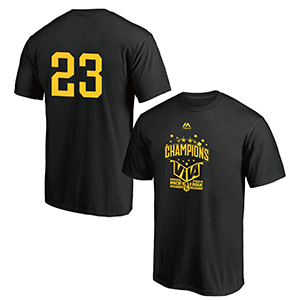 【プロコレクション】2024 パーソル パ・リーグ優勝記念 選手着用Tシャツ
													（M,L,XL）