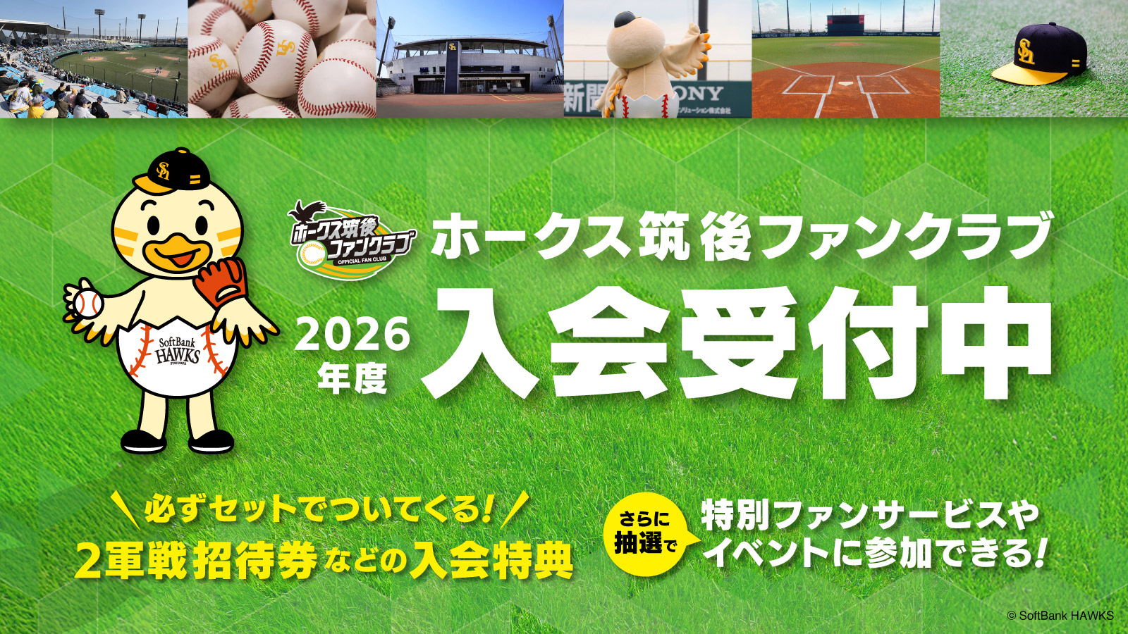 ホークス筑後ファンクラブ