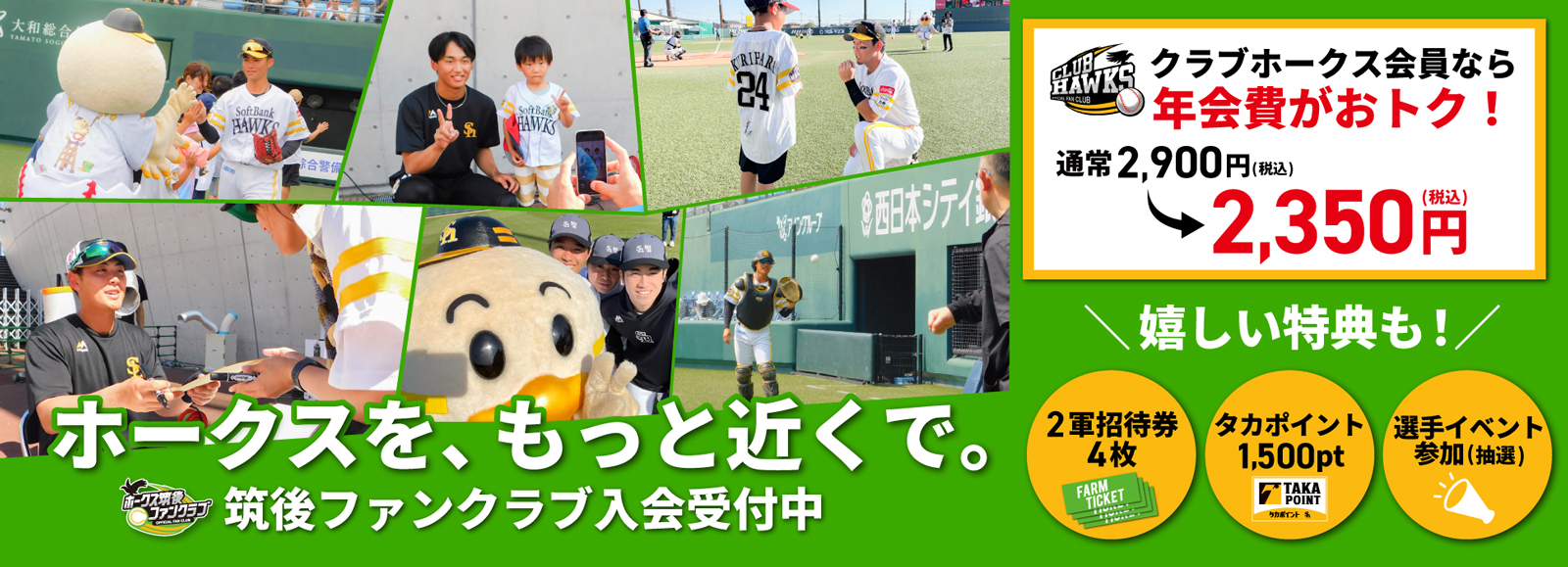 ホークス筑後ファンクラブ
