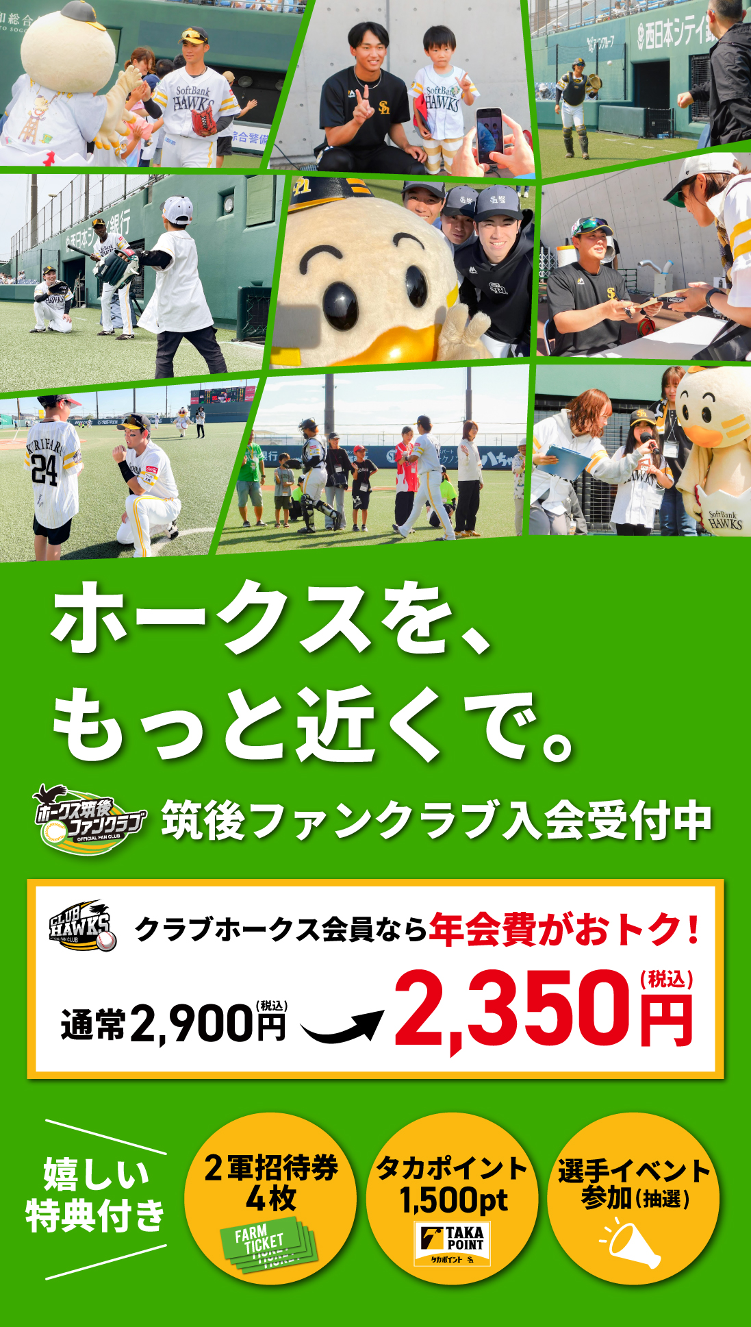 ホークス筑後ファンクラブ