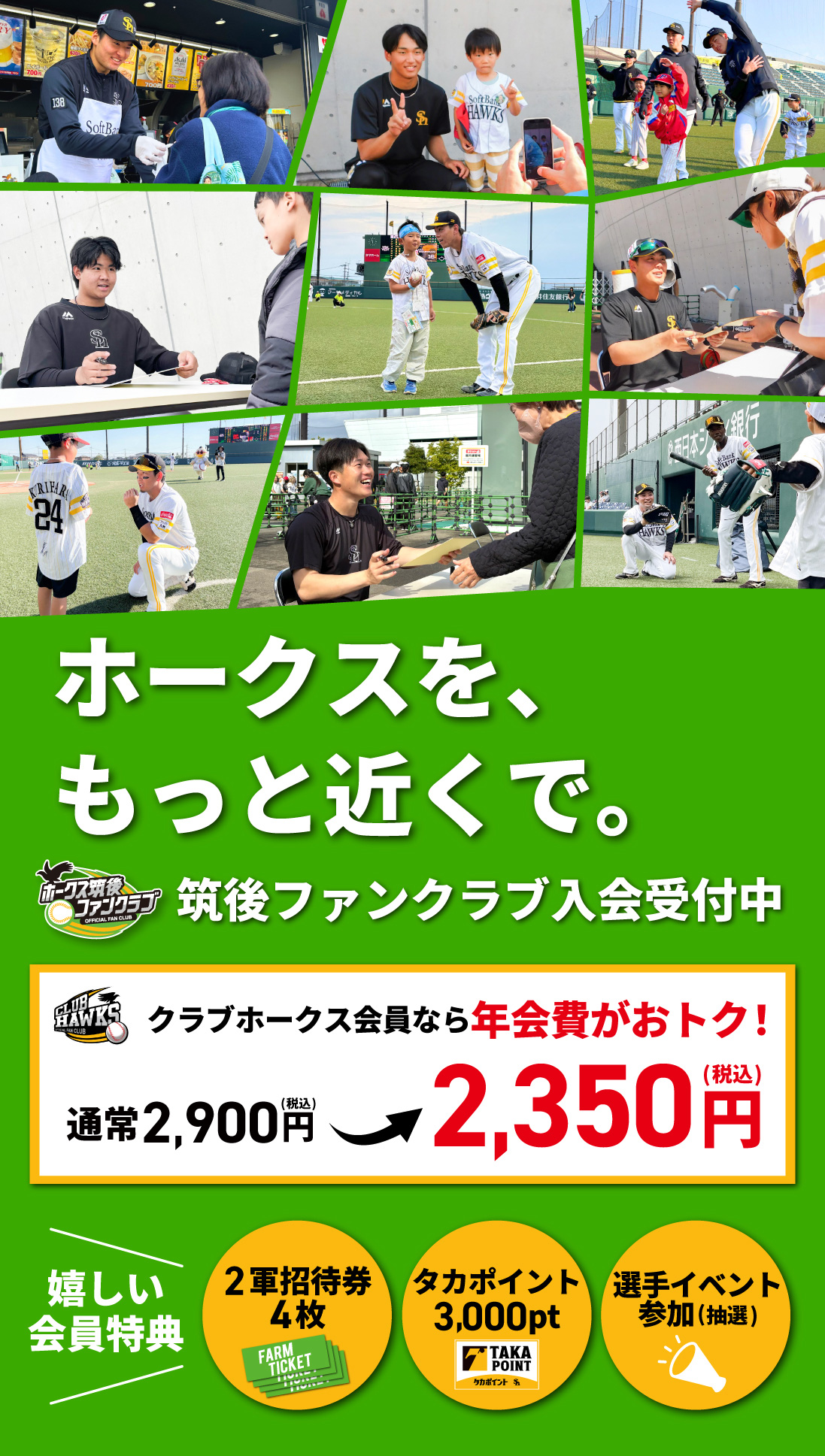 ホークス筑後ファンクラブ
