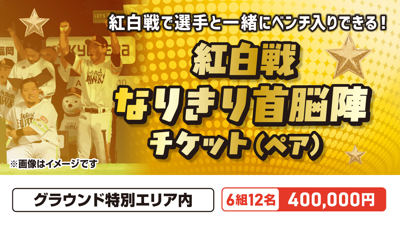 紅白戦なりきり首脳陣チケット(ペア)