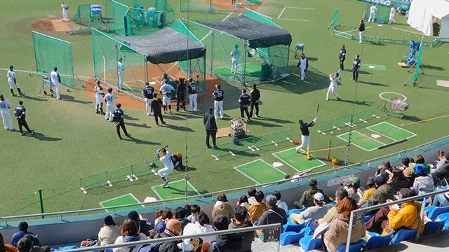 【チケット】タマスタ筑後で野球体験（バッティング＆ノック体験）