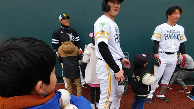 ボールひろい体験