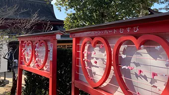 筑後キャンプ写真8