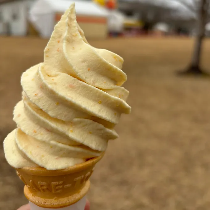 ご当地グルメを堪能しよう！