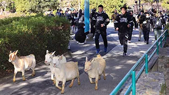 キャンプ写真11