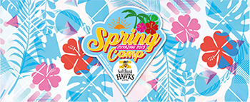 おもてなしシート限定フェイスタオル