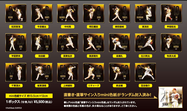 ファイト！九州「応援セット」登場＆プレコレ受注開始 | 福岡
