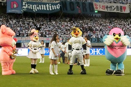 J1サガン鳥栖でも「鷹の祭典」で盛り上がる！ | 福岡