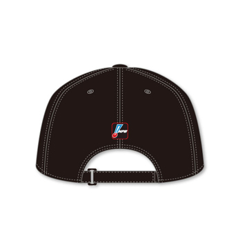 プラクティスキャップ　パシフィック・リーグ 裏