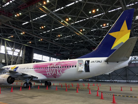 楽天市場】B737-800w スカイマーク SKYMARK AIRLINES JA73AA