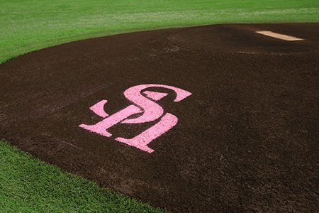 ピンクリボン運動」へチーム、中村晃選手らが寄付 | 福岡