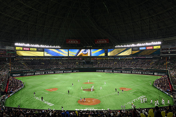 シーズンシート2018