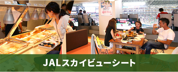 JALスカイビューシート