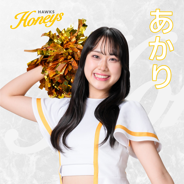 ハニーズ＆アクロバットパフォーマー | 福岡ソフトバンクホークス