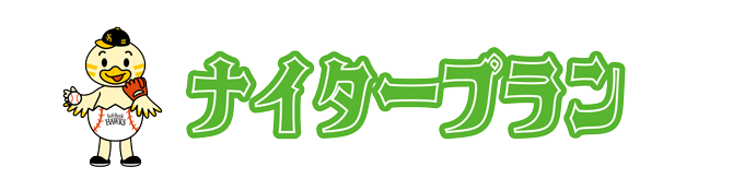 ナイタープラン
