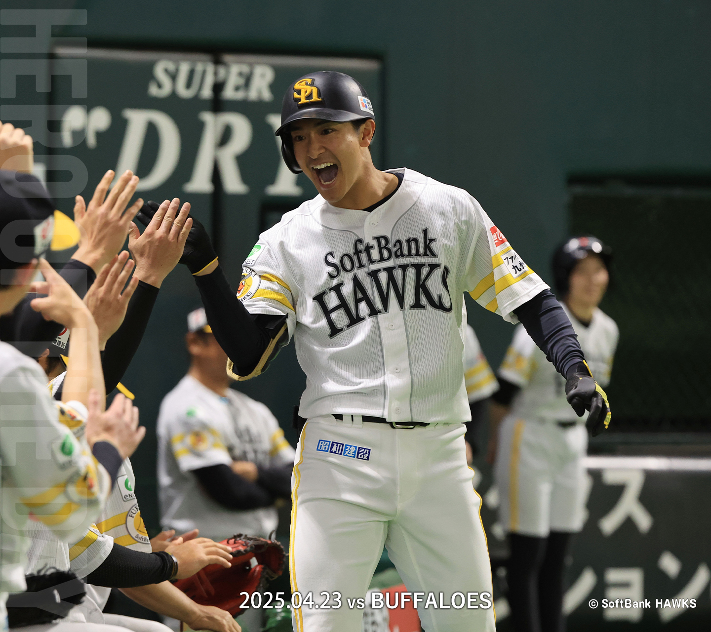 z□ソフトバンクホークス/Softbank HAWKS プロ野球応援