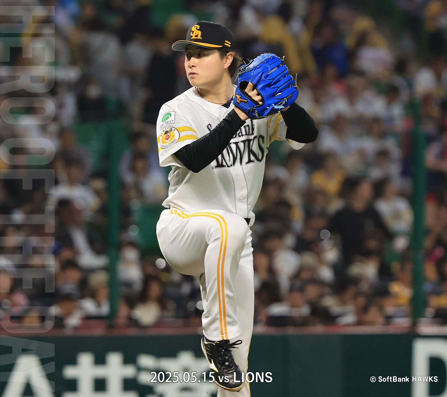 800px-Softbank_hawks_emblem.