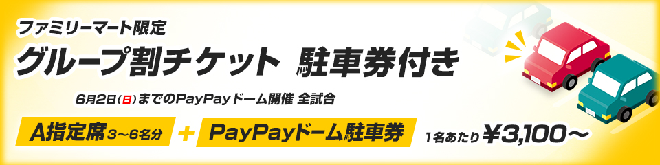 2025年 5月17日（土) paypayドーム駐車券 駐車場　野球　VS楽天 3月28日 PayPayドーム 無料駐車券 - メルカリ