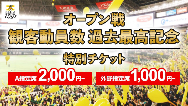 【オープン戦観客動員数 過去最高記念】特別チケット