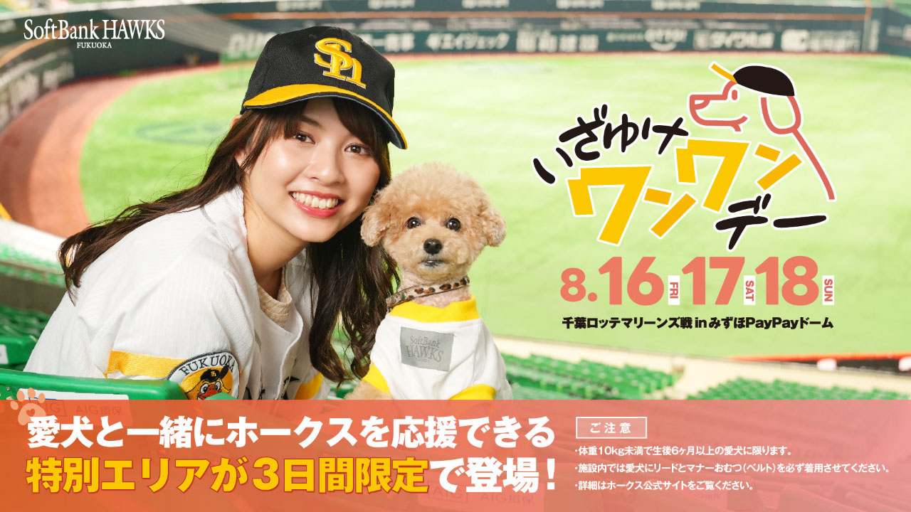 【8/16～18】愛犬と観戦しよう！いざゆけワンワンデー開催！