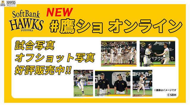 新商品】アサデス。コラボグッズ／【EC】タイムセール第3弾／#鷹