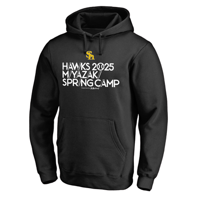 新商品】2025春季キャンプグッズ、【新デザイン】選手着用ウェア