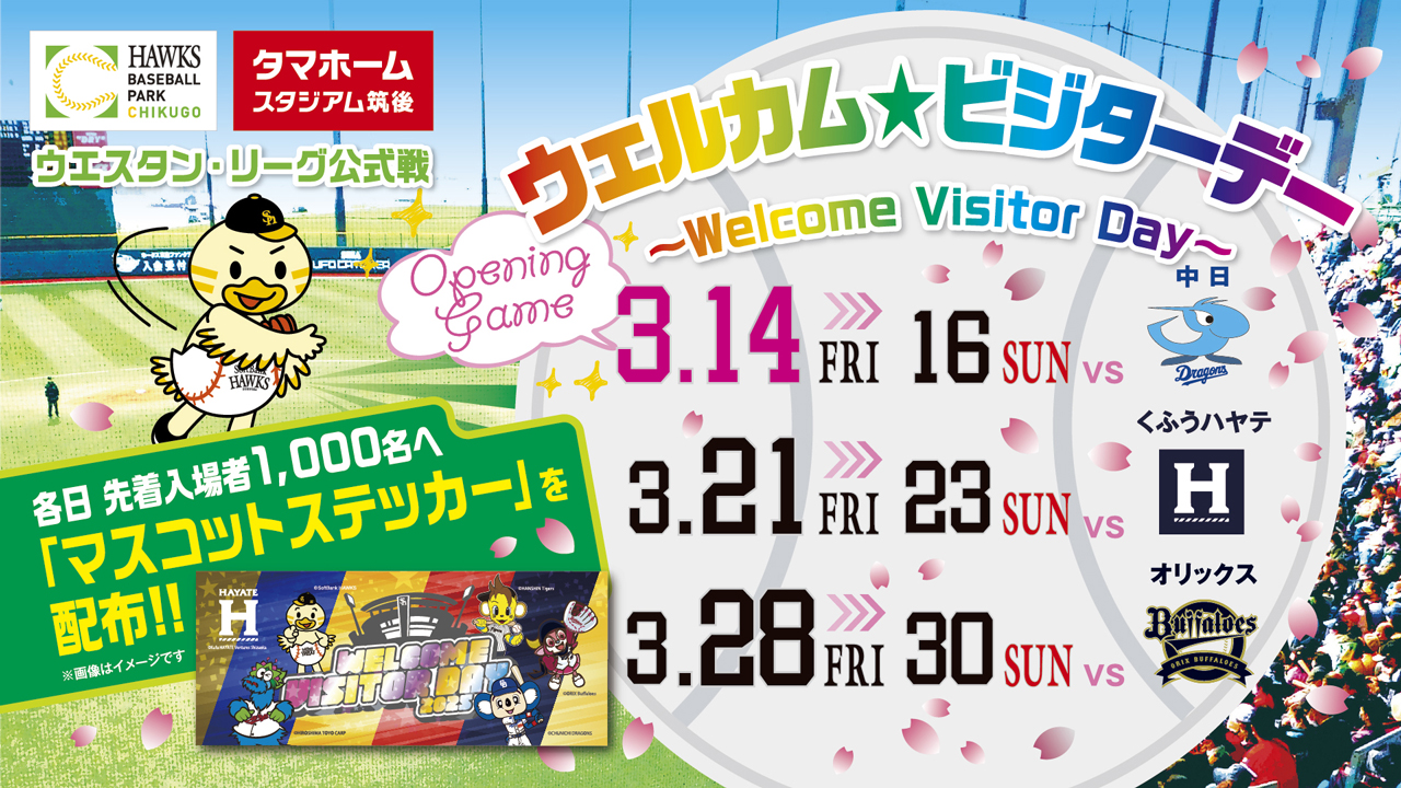 阪神 vs 広島 2024年シーズン席チケット 9月14日（9/10 甲子園