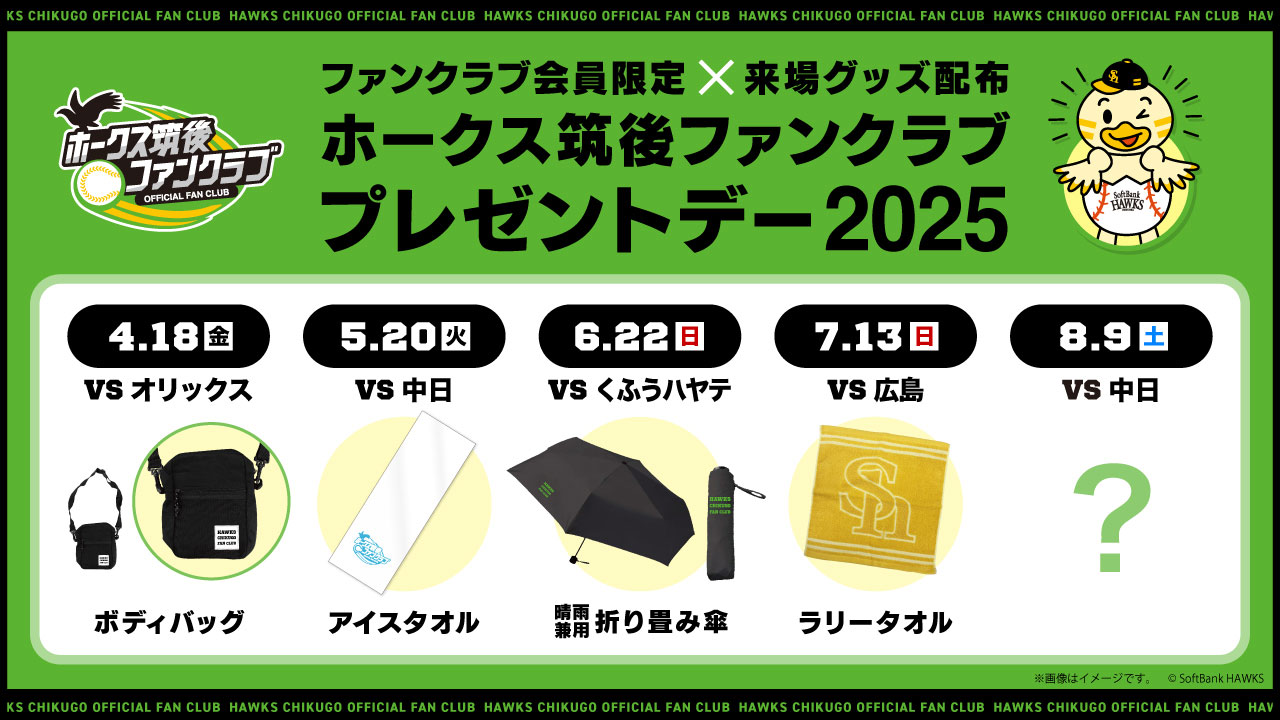 南海ホークス ファンクラブ限定バッグ 当時もの 野球