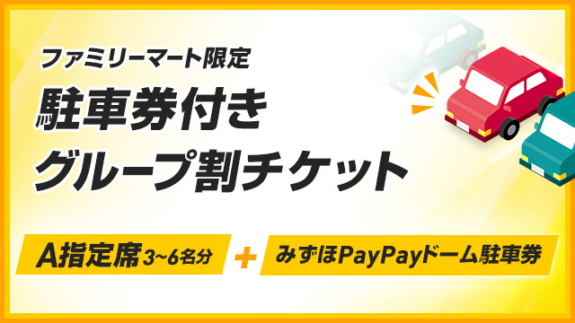 PayPayドーム 駐車券 駐車場予約券 5月17日 - メルカリ