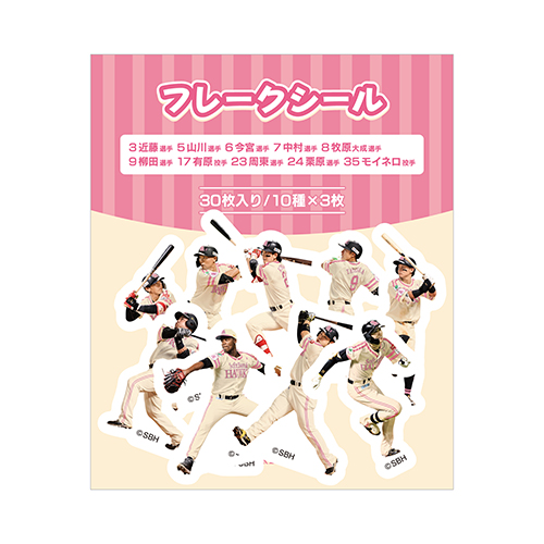 ソフトバンクホークス　5/16 5月16日　S指定　2連番通路側　ピンクフルデー 通路側》ピンクフルデー 5月16日(金) S指定席ペア 福岡