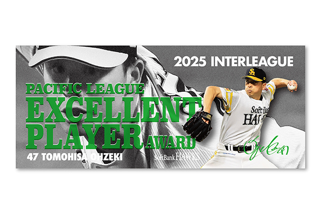 【新品未開封】コナミ日本シリーズ2013試合球 パ・リーグ セ・リーグ セット プロ野球カードゲーム DREAM ORDER ドリームオーダー セ・リーグ