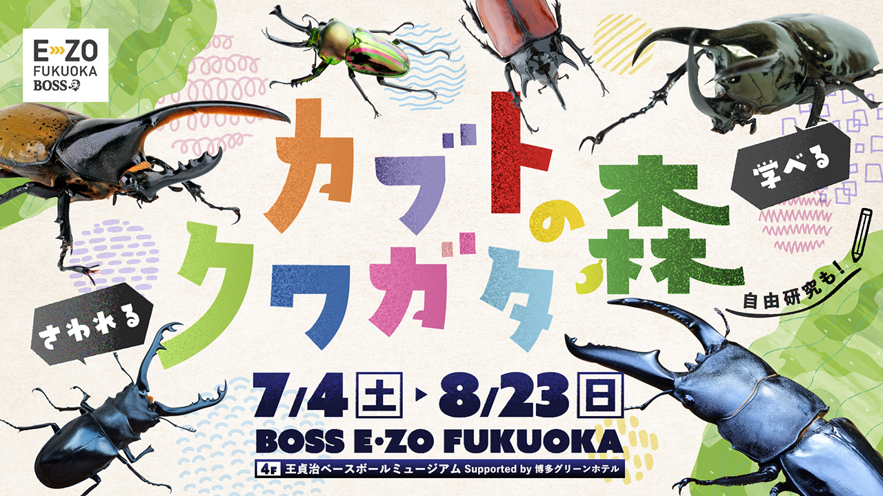 【7/4～】触って学べる「カブト・クワガタの森」がやってくる！