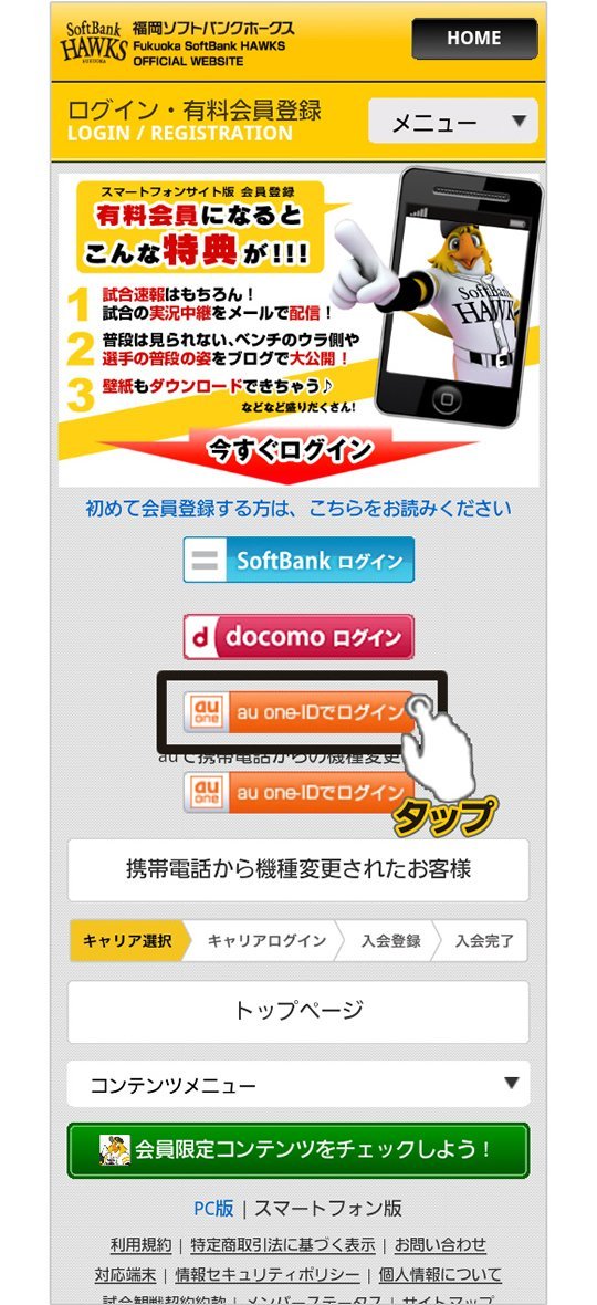 【15haoku 02様 確認用ページ☆】 BASARO 国土交通省型式承認品 桜マーク タイプA ライフジャケット 交換